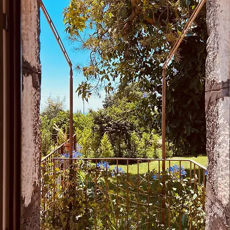 Hotel Puleera Boutique