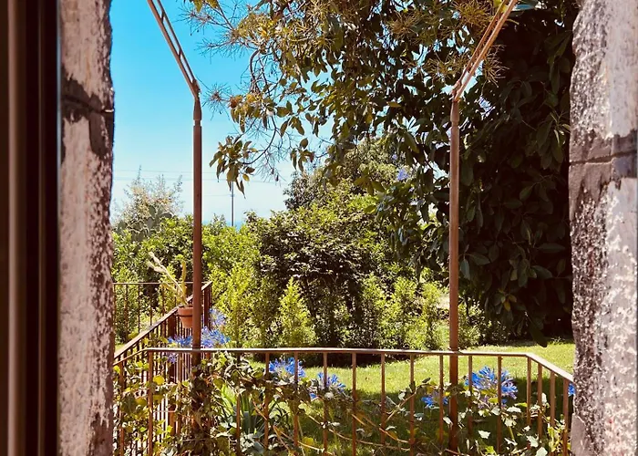 Hotel Puleera Boutique