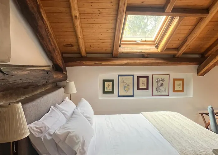 Hotel Puleera Boutique